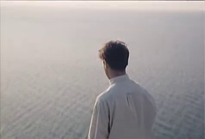 海